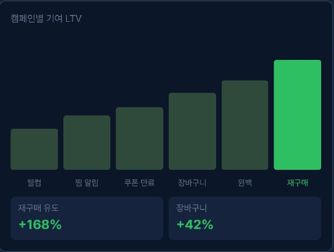 LTV · 퍼널 분석 화면 예시